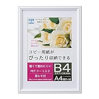 2名さま　B4サイズ　額縁あり　11/15まで　コピー1枚 楽天市場】B4サイズ (258×365) が 2枚入る 額縁 B013 アクリル付